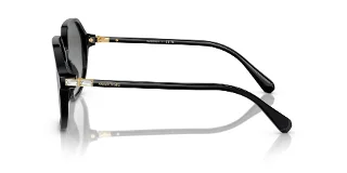 Swarovski Sunglasses SK6003