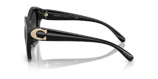 Coach Sunglasses HC8421U