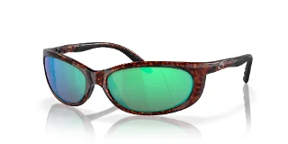 905809 Tortoise