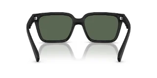 Armani Exchange Sunglasses AX4147SF