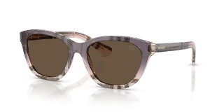 422073 Check Gradient Rose