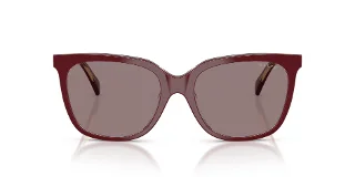 Ralph Sunglasses RA5343U
