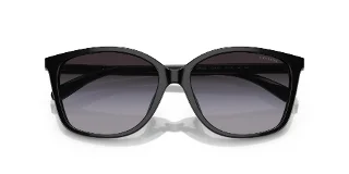 Coach Sunglasses HC8361U
