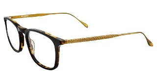 John Varvatos Eyeglasses V207