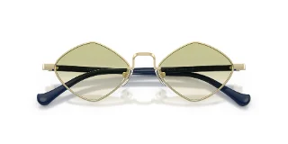 Emporio Armani Sunglasses EA2182