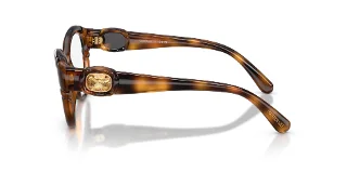 Swarovski Eyeglasses SK2057