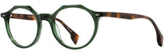 C04 Spruce Tortosie