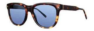 Tortoise
