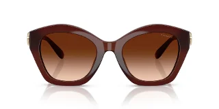 Coach Sunglasses HC8421U