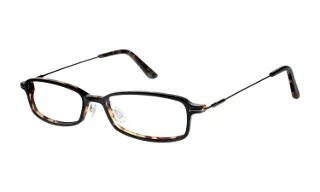 EBO Black Tortoise