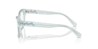 Swarovski Eyeglasses SK2022