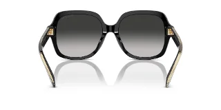 Coach Sunglasses HC8395F