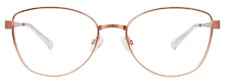 Easyclip Eyeglasses EC534