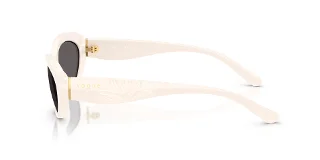 Vogue Sunglasses VO5630S
