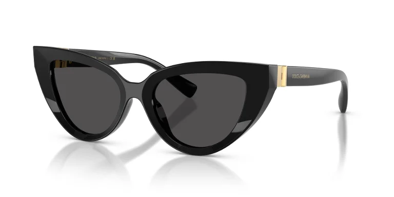 Dolce & Gabbana Sunglasses DG4497