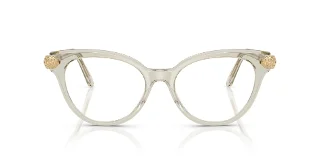 Swarovski Eyeglasses SK2046F