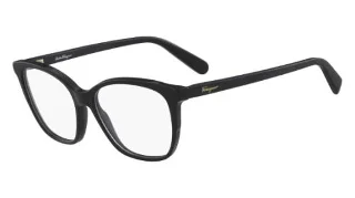 Salvatore Ferragamo Eyeglasses SF2817