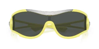 Versace Sunglasses VE4475