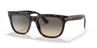 2AU718 Tortoise