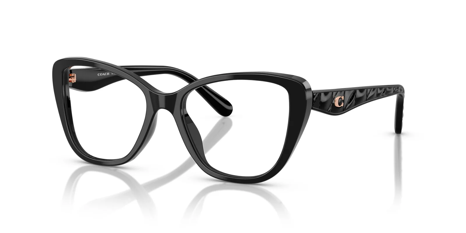 Coach Eyeglasses HC6255U