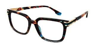 C0104 Tortoise