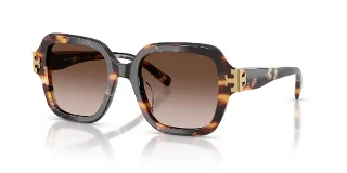 207213 Dark Tortoise