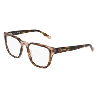 210 Brown Tortoise