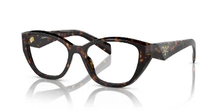 19J1O1 Tortoise
