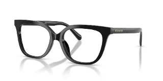 Coach Eyeglasses HC6302U
