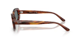 Ray Ban Sunglasses RB2221F
