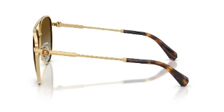 Swarovski Sunglasses SK7031