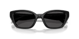 Coach Sunglasses HC8434U