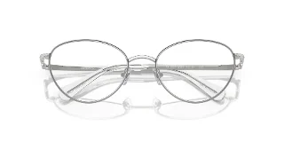 Swarovski Eyeglasses SK1002