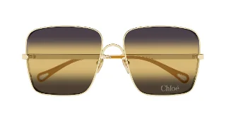 Chloe Sunglasses CH0324S