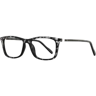Black-Tortoise