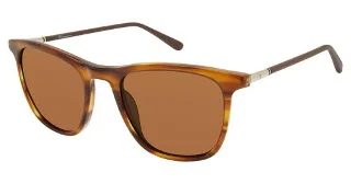C02 Brown Horn