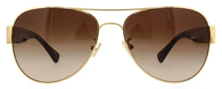 Coach Sunglasses HC7059 L138