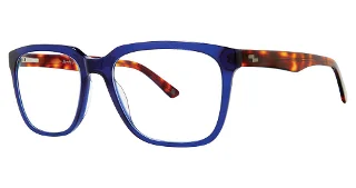 Randy Jackson Eyeglasses 3055
