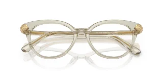 Swarovski Eyeglasses SK2046