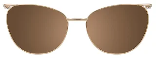 Easyclip Eyeglasses EC515