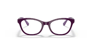 Emporio Armani Eyeglasses EK3204