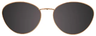 Easyclip Eyeglasses EC501
