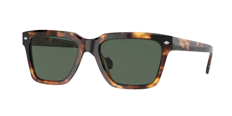 Vogue Sunglasses VO5404S