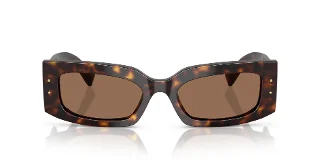 Dolce & Gabbana Sunglasses DG4479F