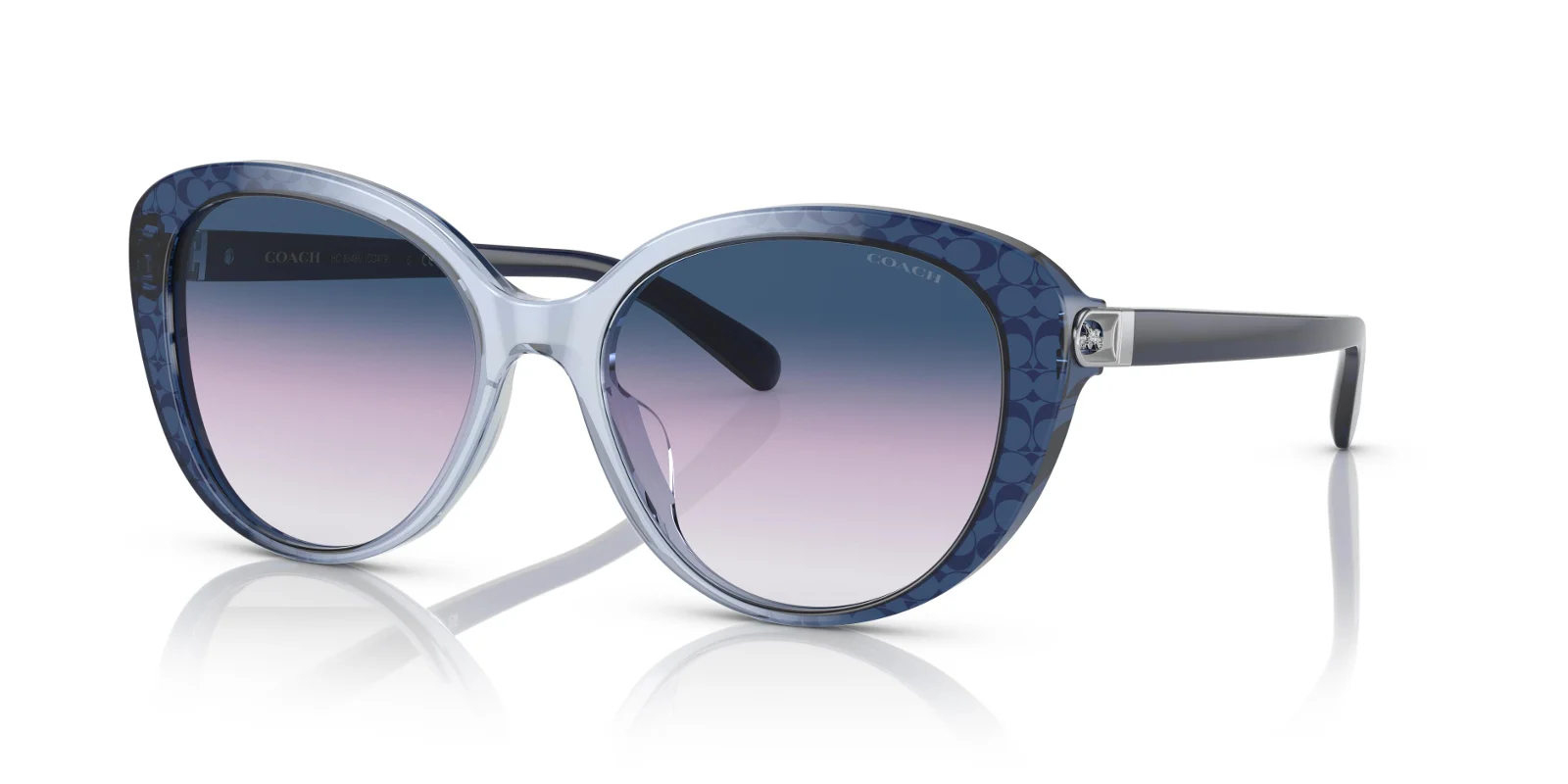 Coach Sunglasses HC8348U