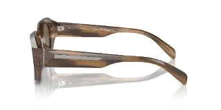 Emporio Armani Sunglasses EA4230U