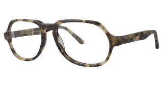 024 Tortoise