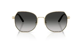 Coach Sunglasses HC7175