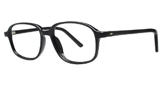 Modern Plastics I Eyeglasses Adam