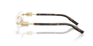 Dolce & Gabbana Eyeglasses DG1361